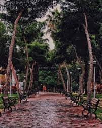 حديقة تشرين 4