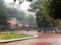 Shakou Park 3