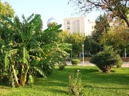 حديقة زكي الأرسوزي 2