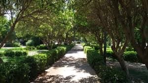 حديقة 17 نيسان 2