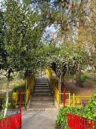 حديقة الزاهرة الجديدة 3