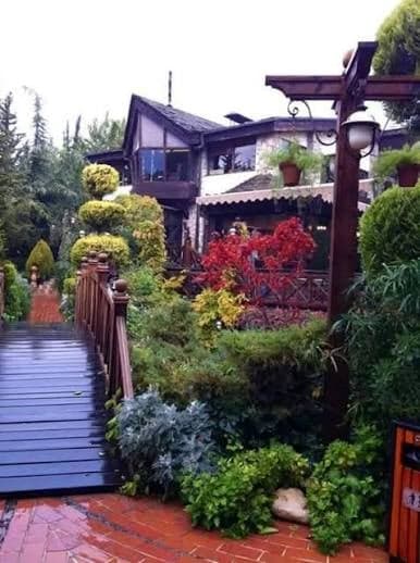 Swiss house 4