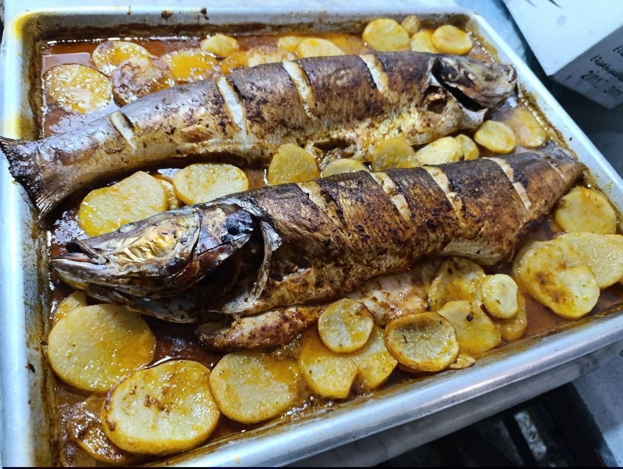 Habous Kitchen 1