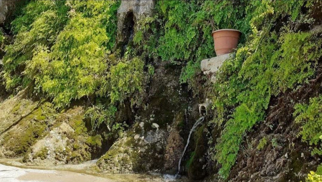 مطعم ومنتزه عين التين العائلي 3