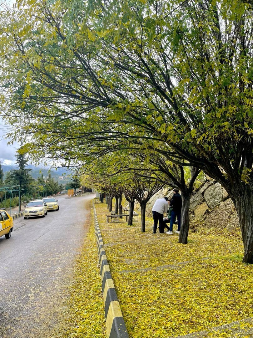 One-Day Trip to Qadmous - 1