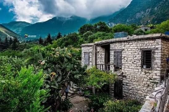 Lost Village Journey - 1
