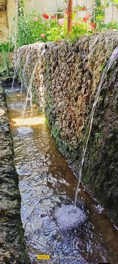 مطعم ومسبح عروس الوادي  4