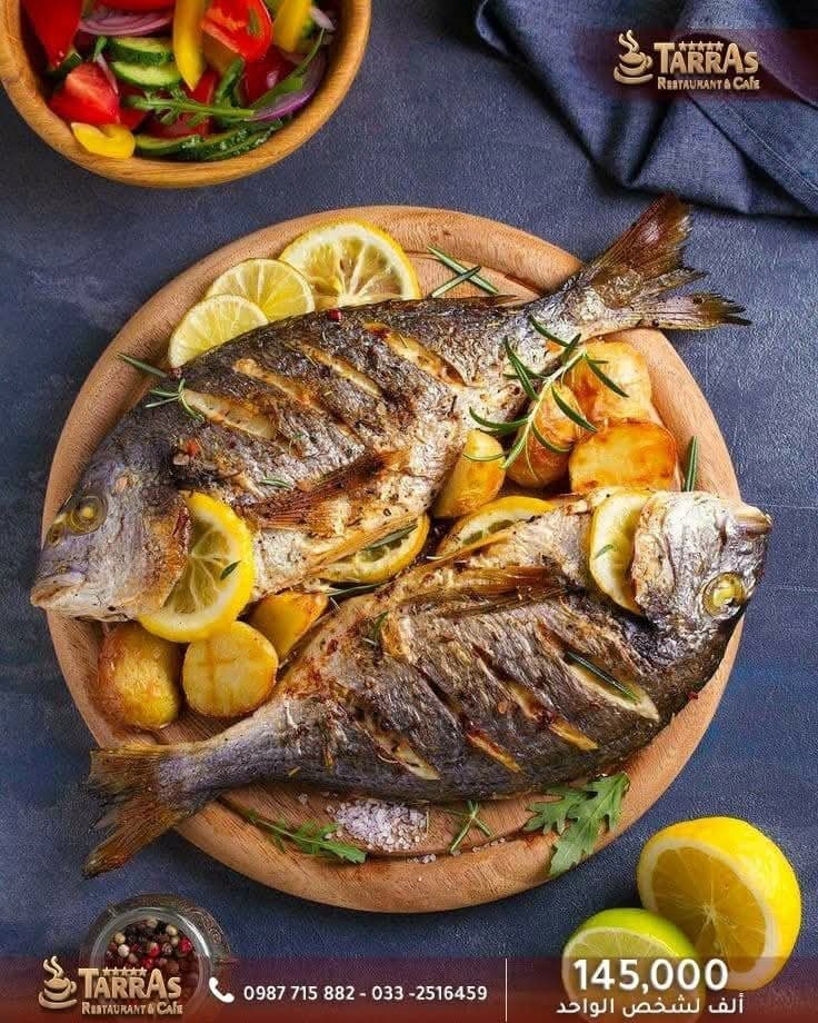 تراس افاميا  4