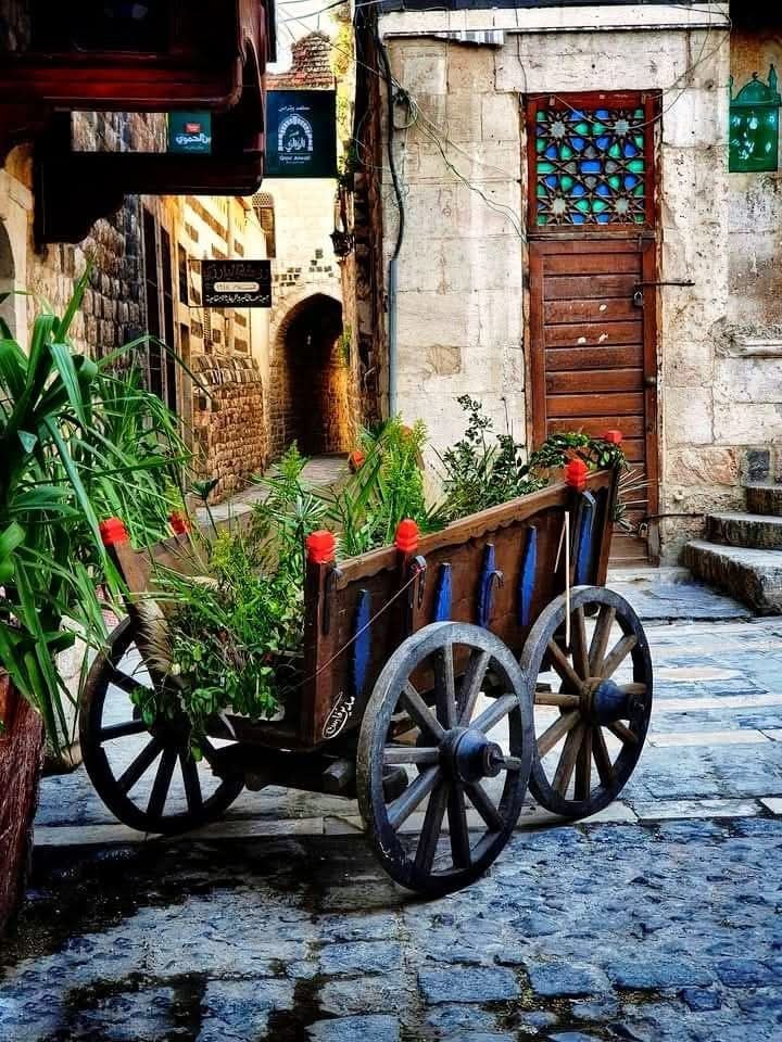 مطعم الريان 2