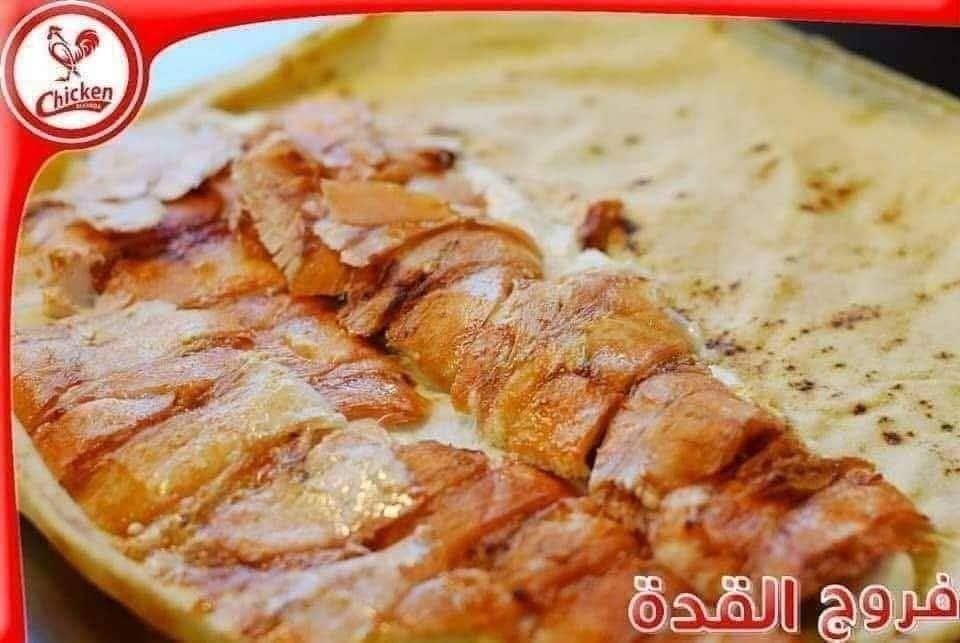فروج القدة  4