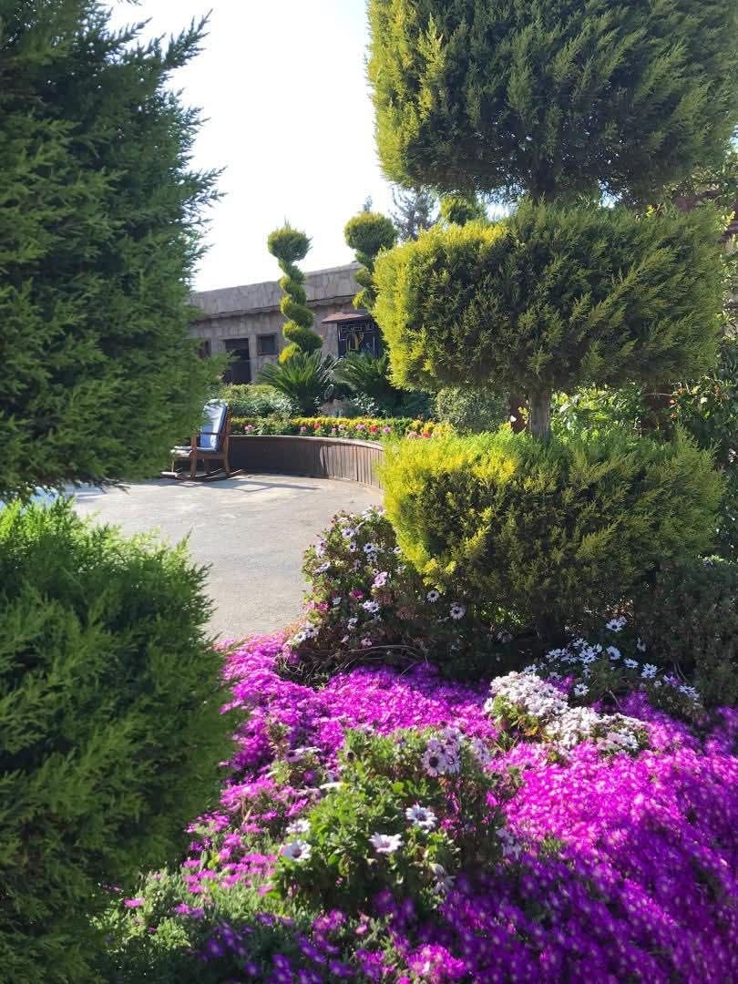  مطاعم الاسطورة  3
