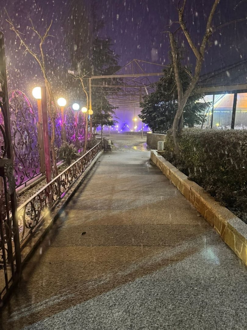 مطعم البوابة ابوزاد 3
